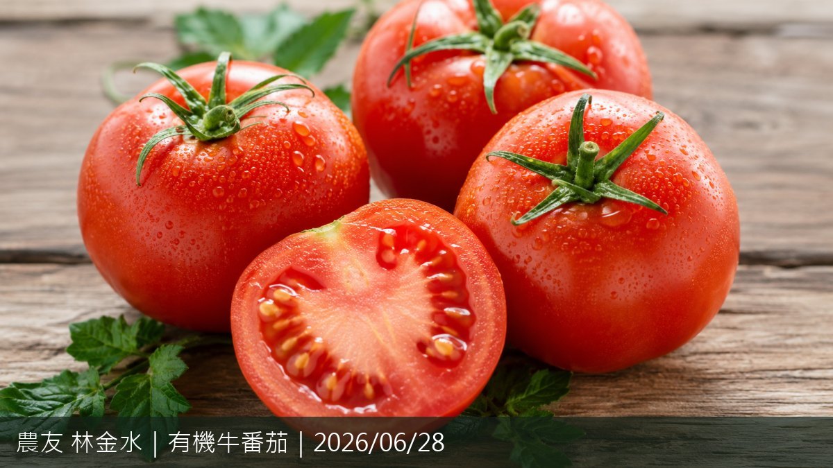 好評照片
