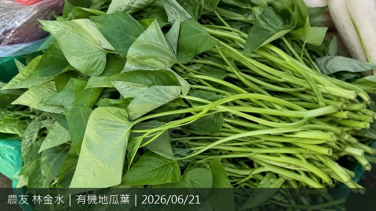 好評照片